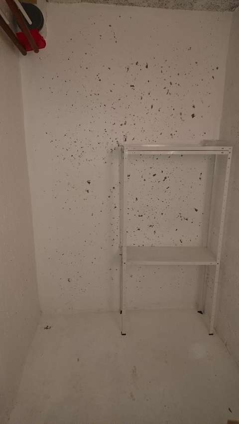Petit espace de stockage sécurisé et pas cher