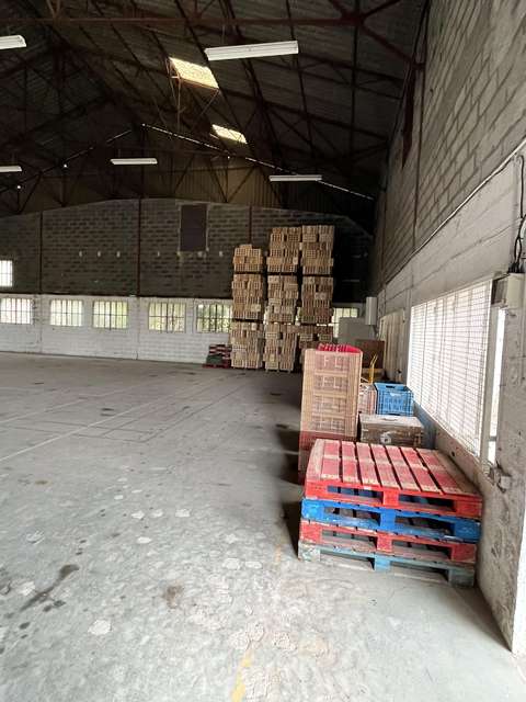 Entrepôt partagé 5 et 300m² - Cheval-Blanc
