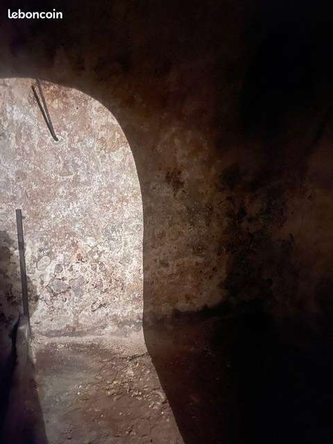 Grand cave 13e a louer rue Faubourg Saint