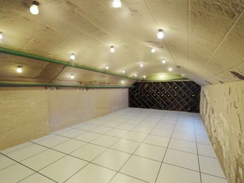 Superbe cave voutée à saisir