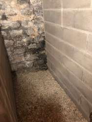 Cave entièrement rénovée à louer