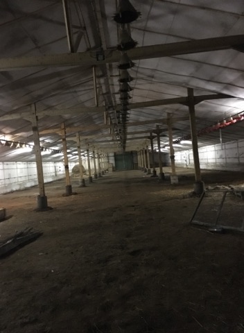 Grand entrepôt pour garde meuble