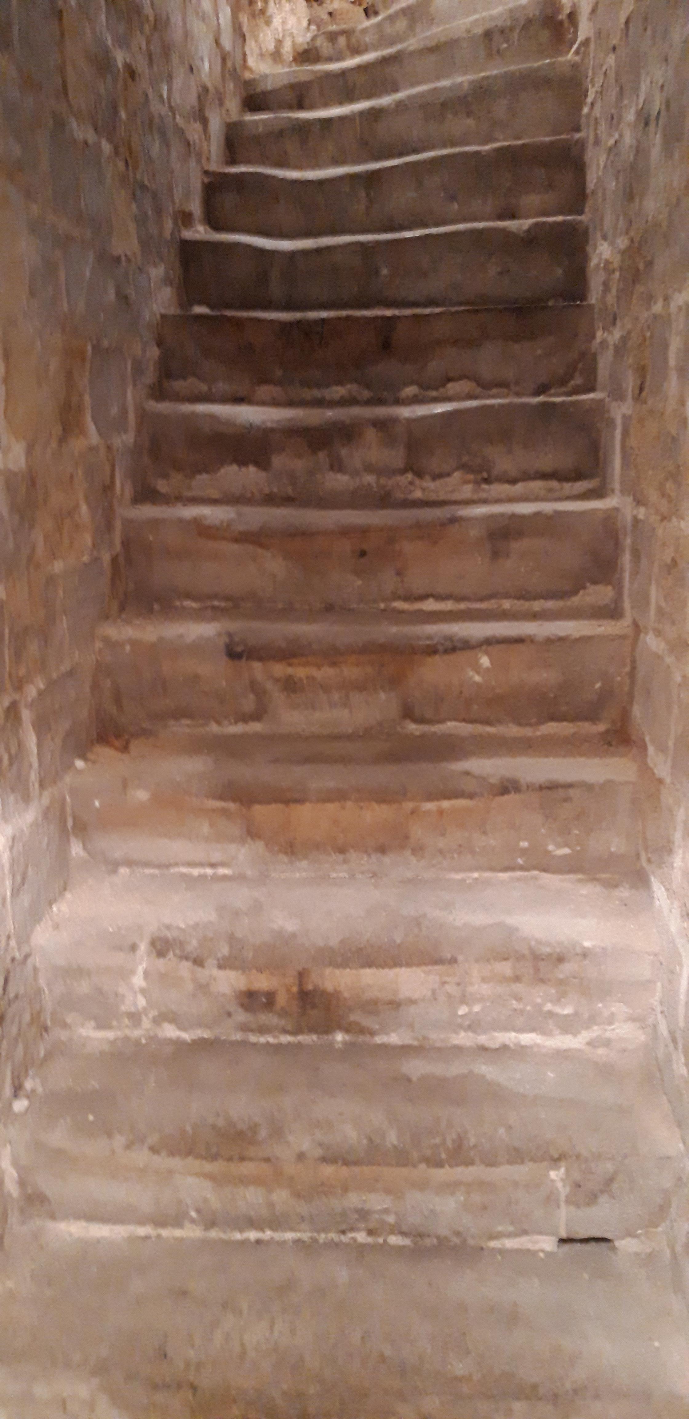 Location cave rue du Théâtre (15ème)