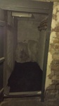 Cave rue du rendez vous XXXXX paris