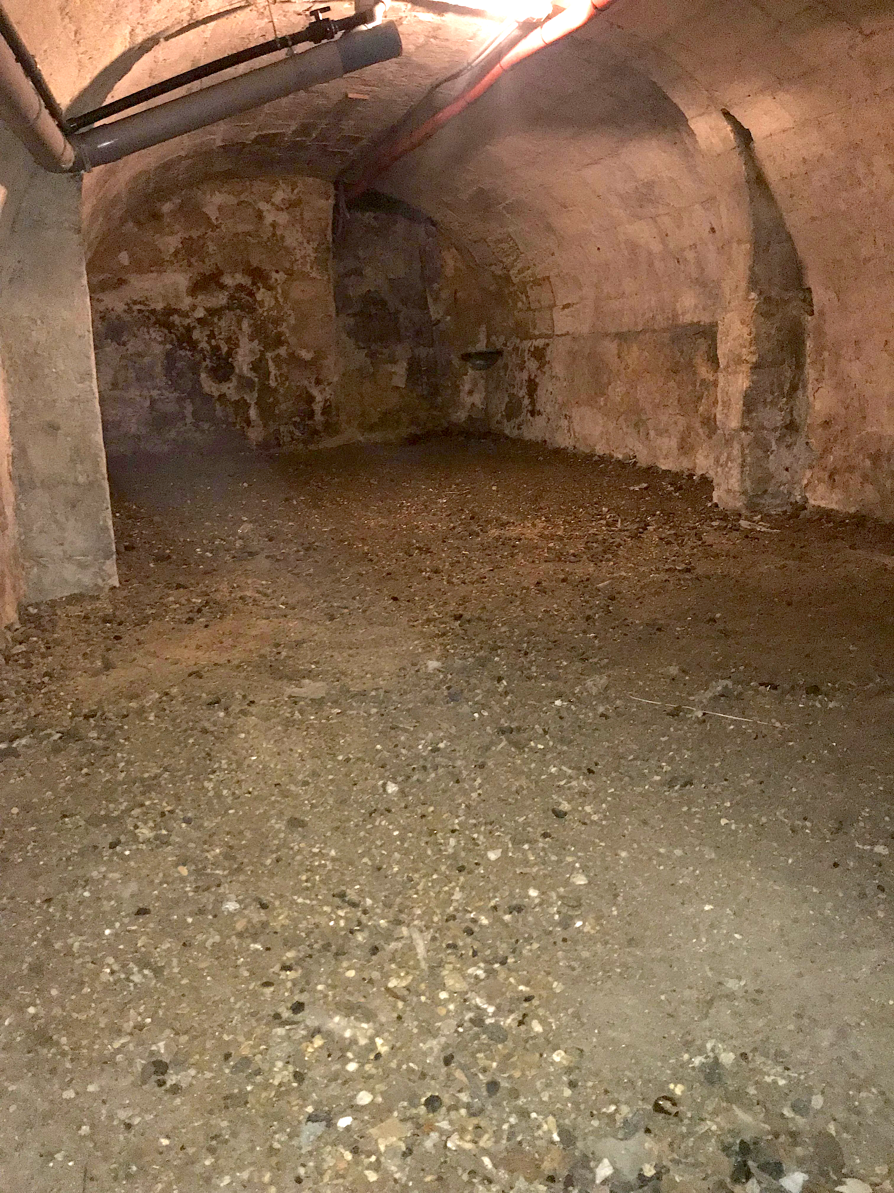 Grande cave saine cours Pasteur Bordeaux centre