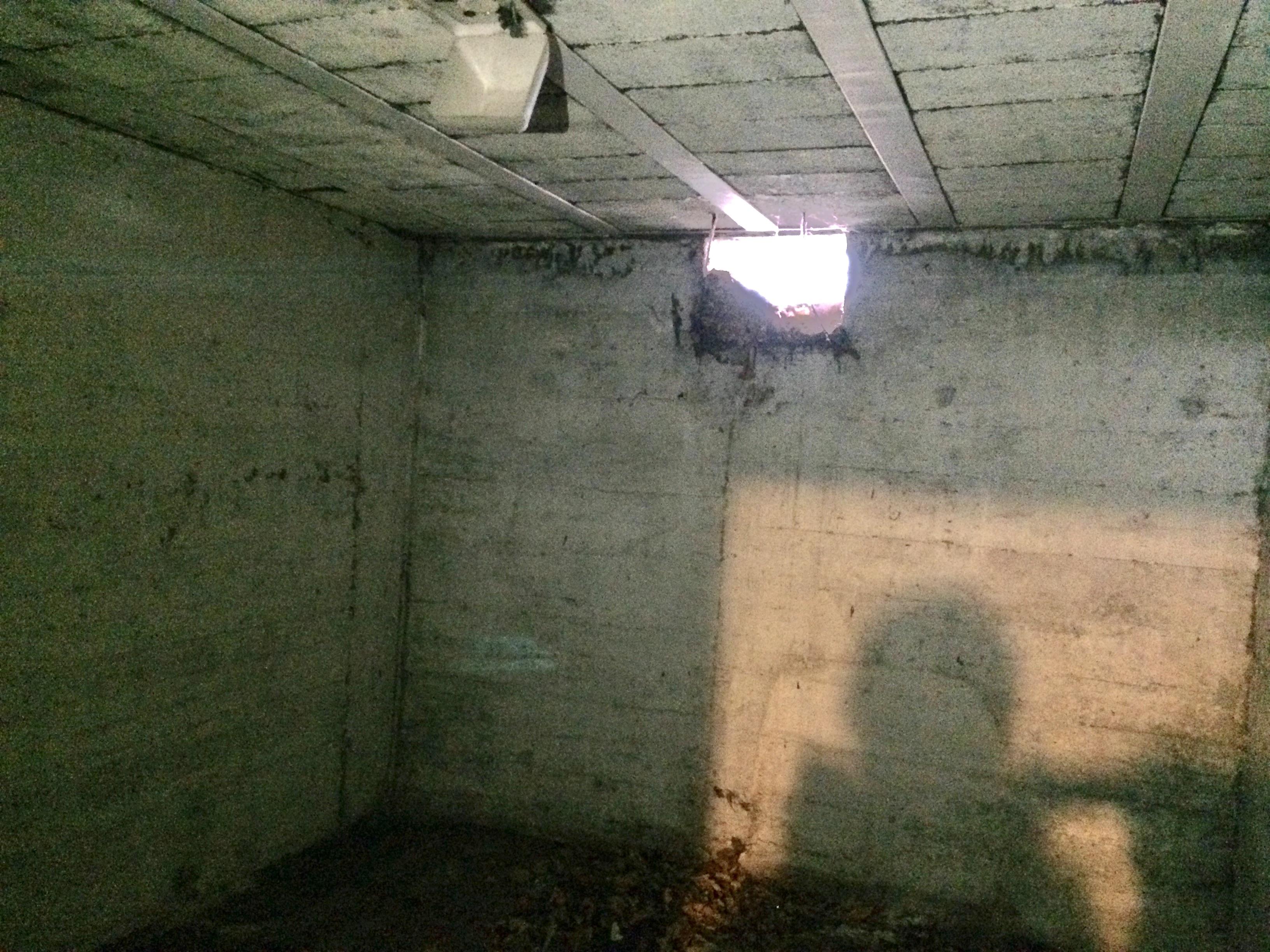 Cave saine et sèche, proche métro République-Villeurbanne