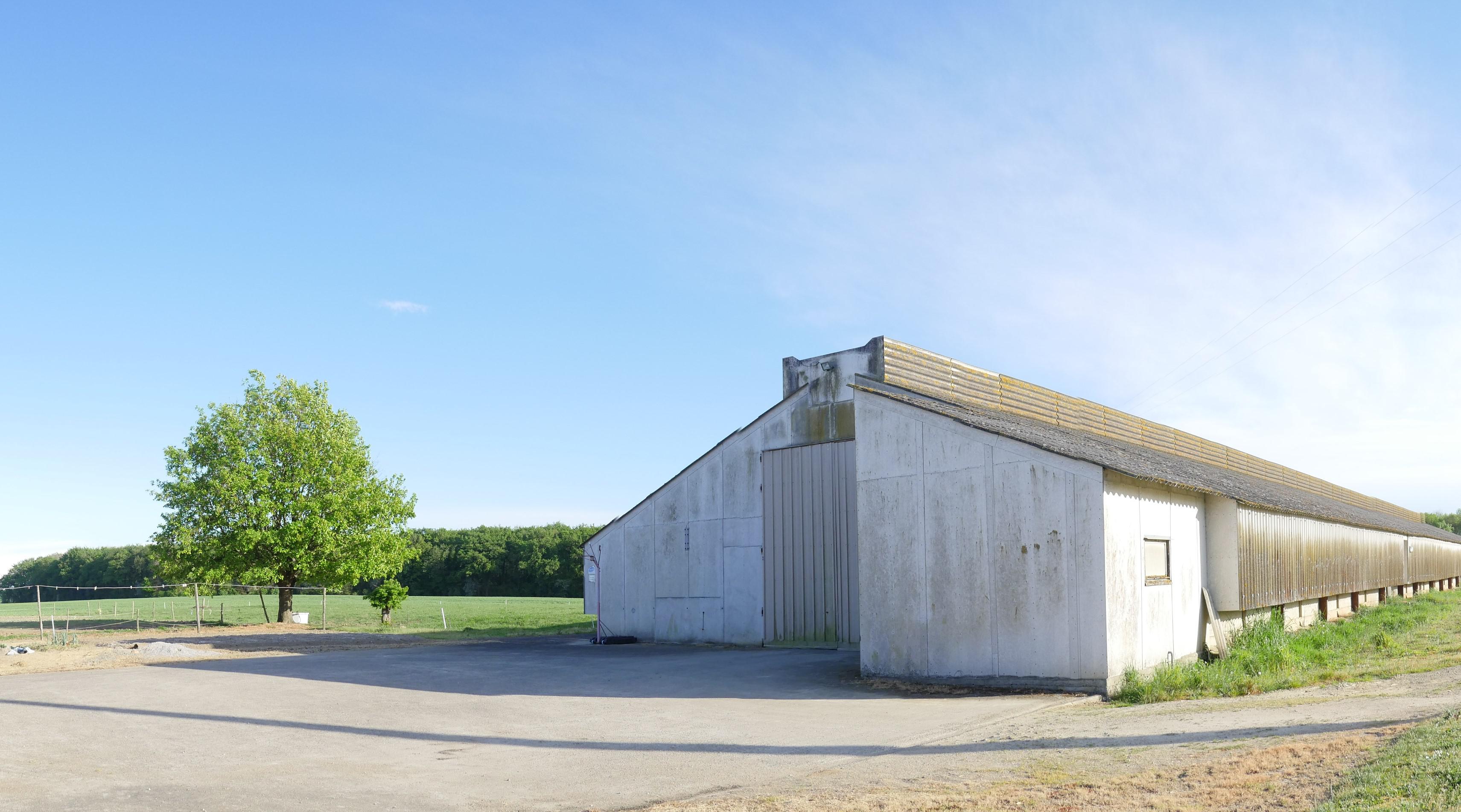 Boxs de stockage, box archivage, garage, place de