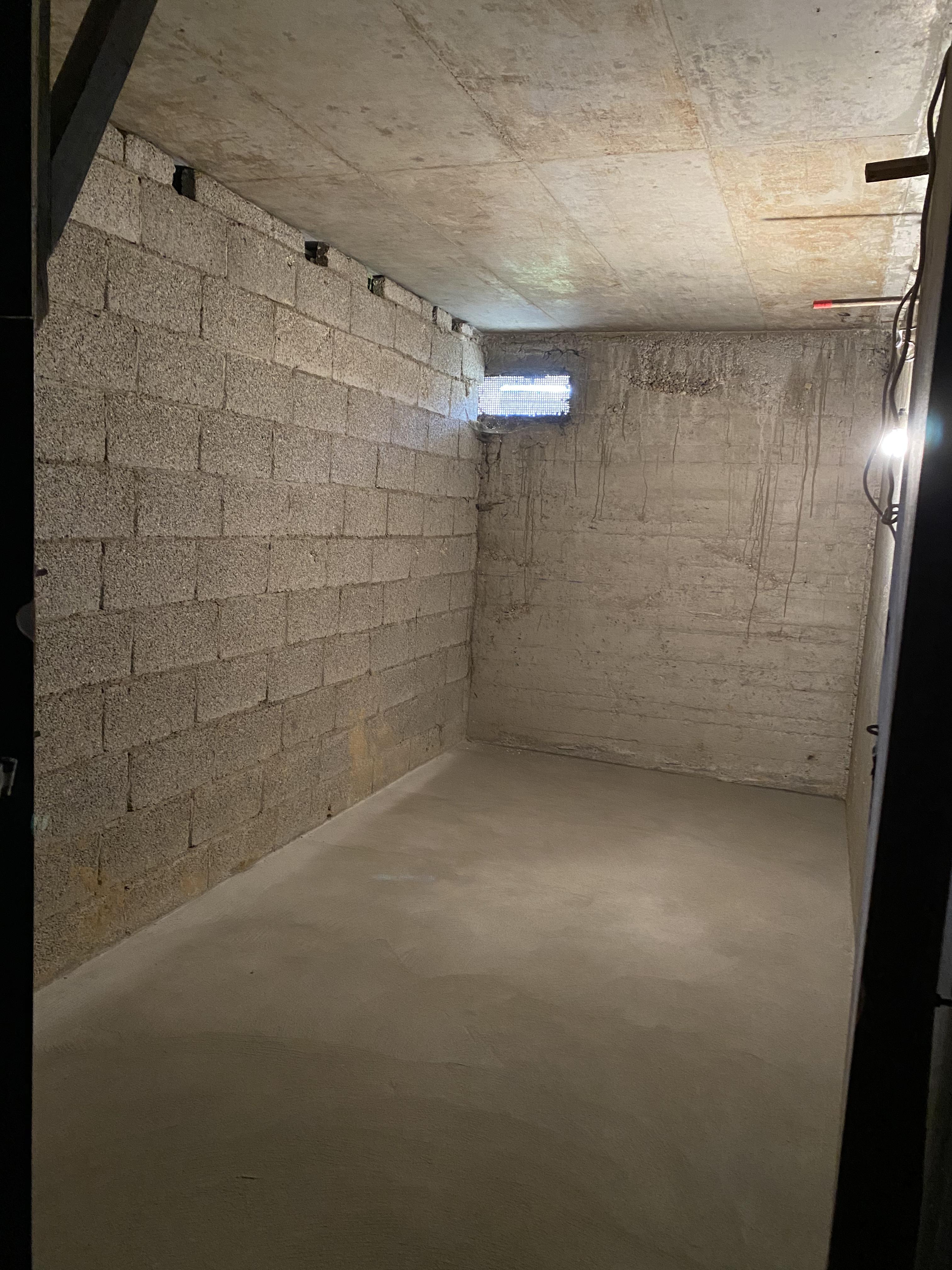 Cave saine