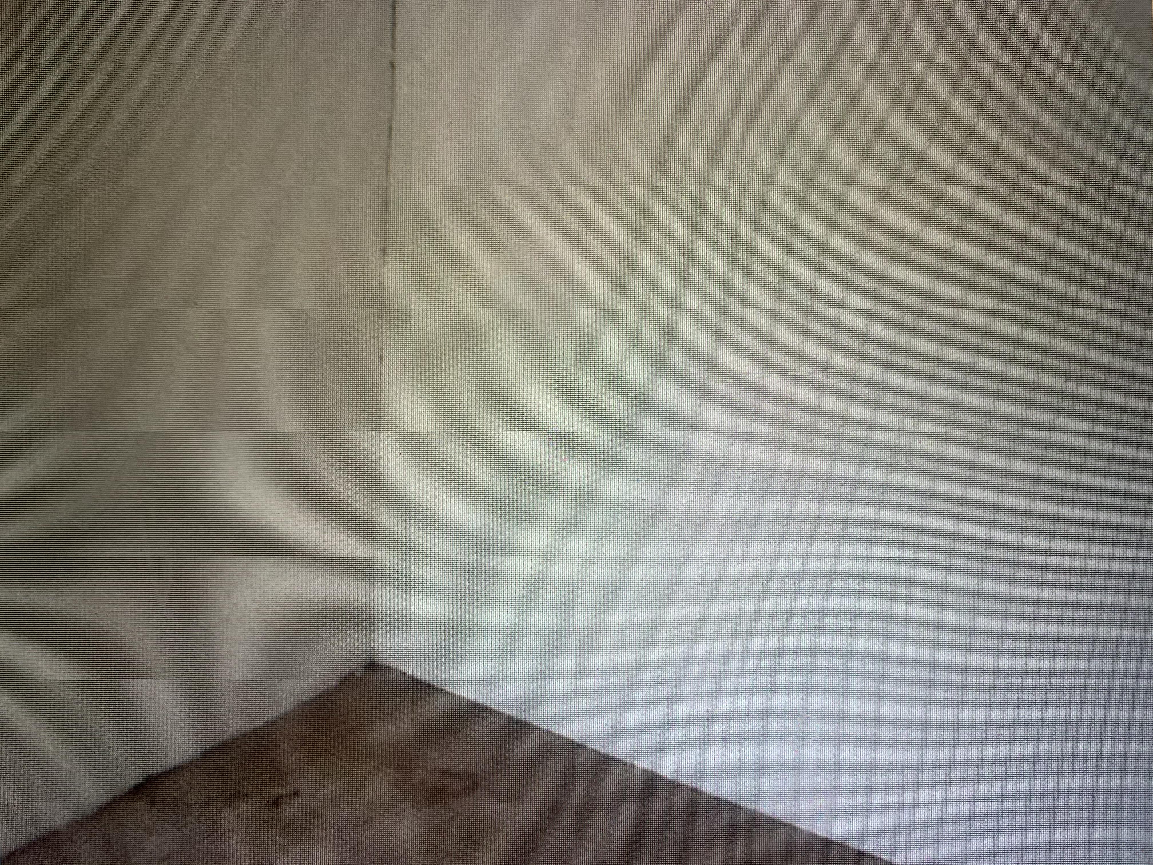 Espace de stockage dans dépendance de maison individuelle