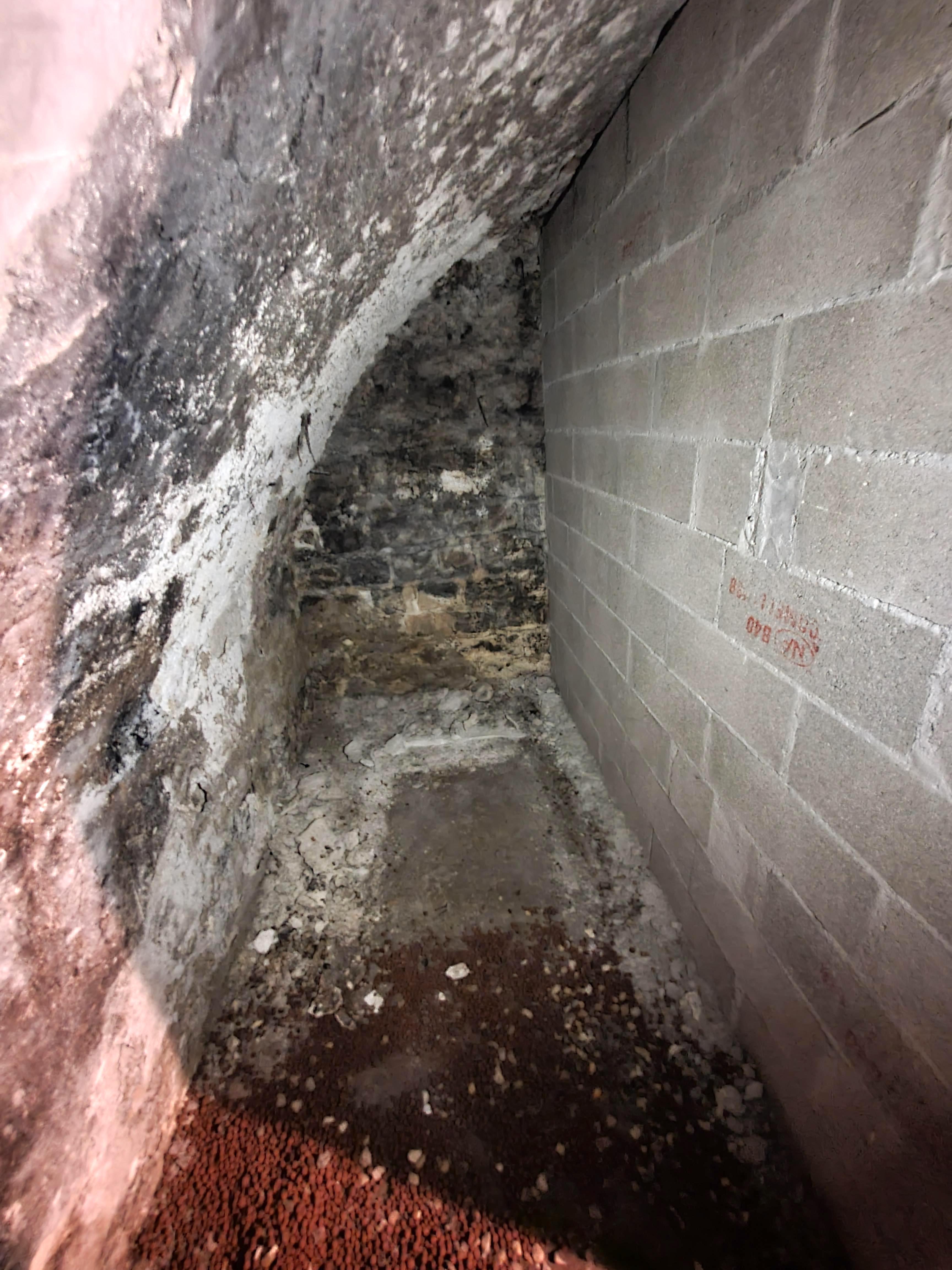 Cave saine et sécurisée : stockage dans le