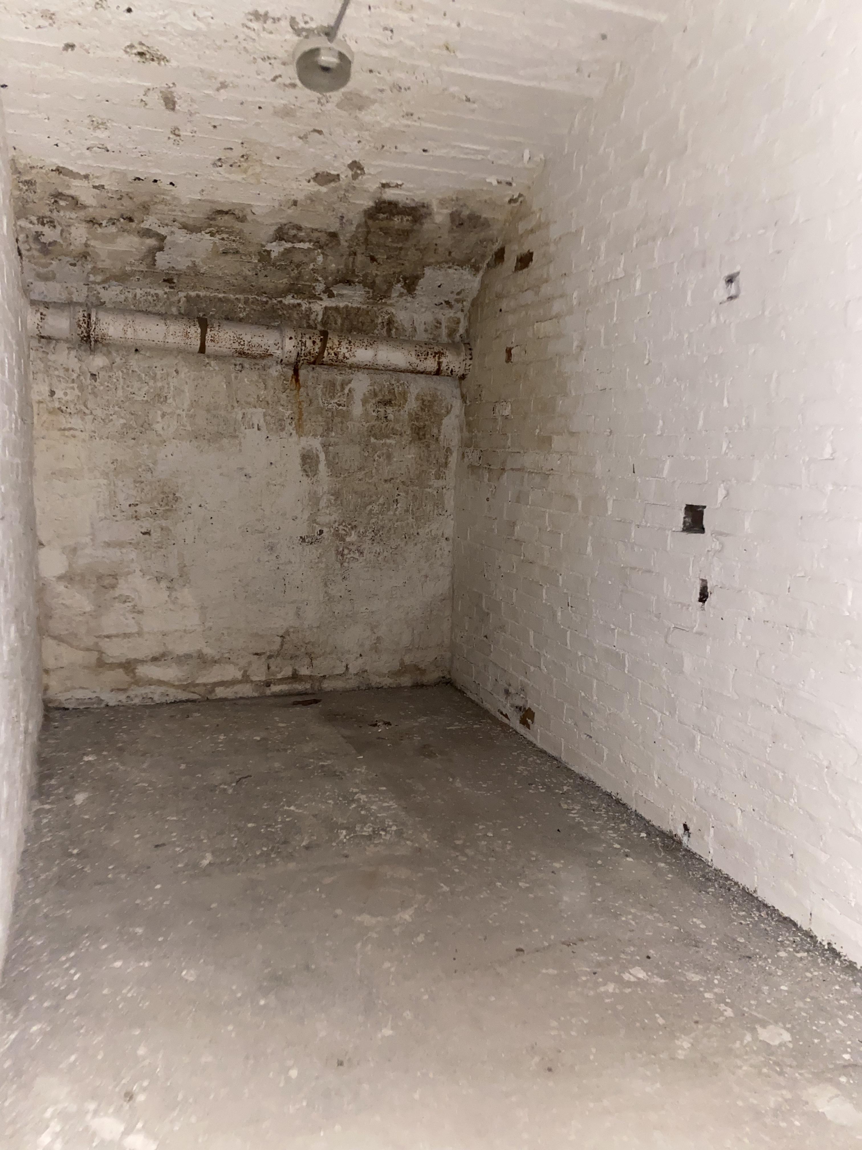 Location cave 10m carre 75008 Miromesnil