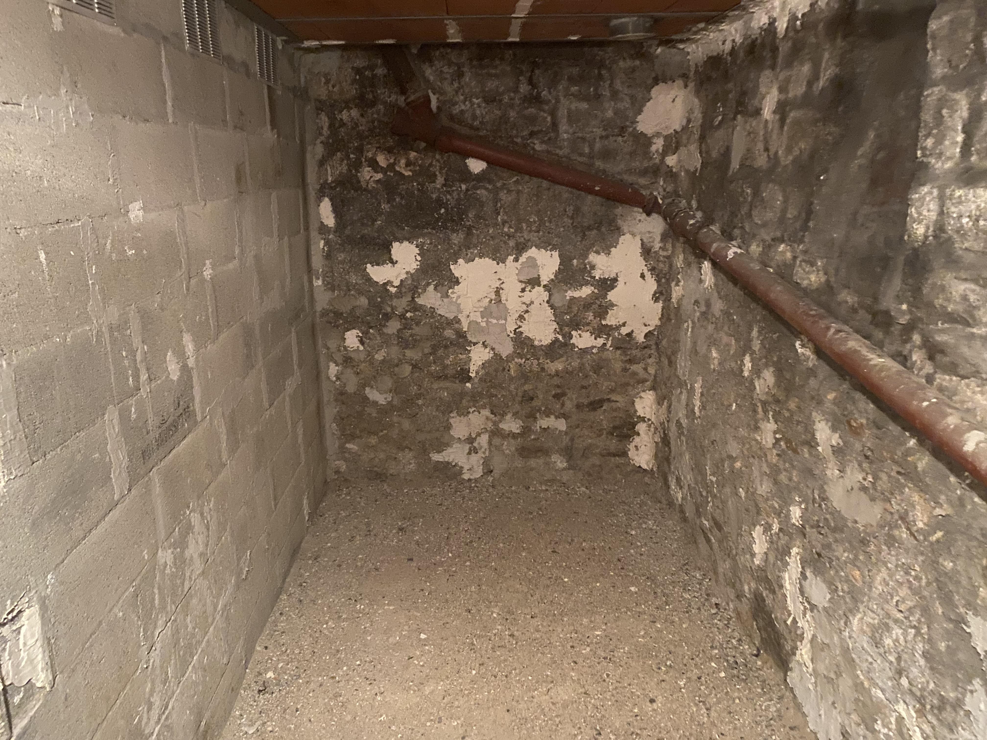 Cave saine et sécurisée avec électricité (8m²/18m³) Ⓜ