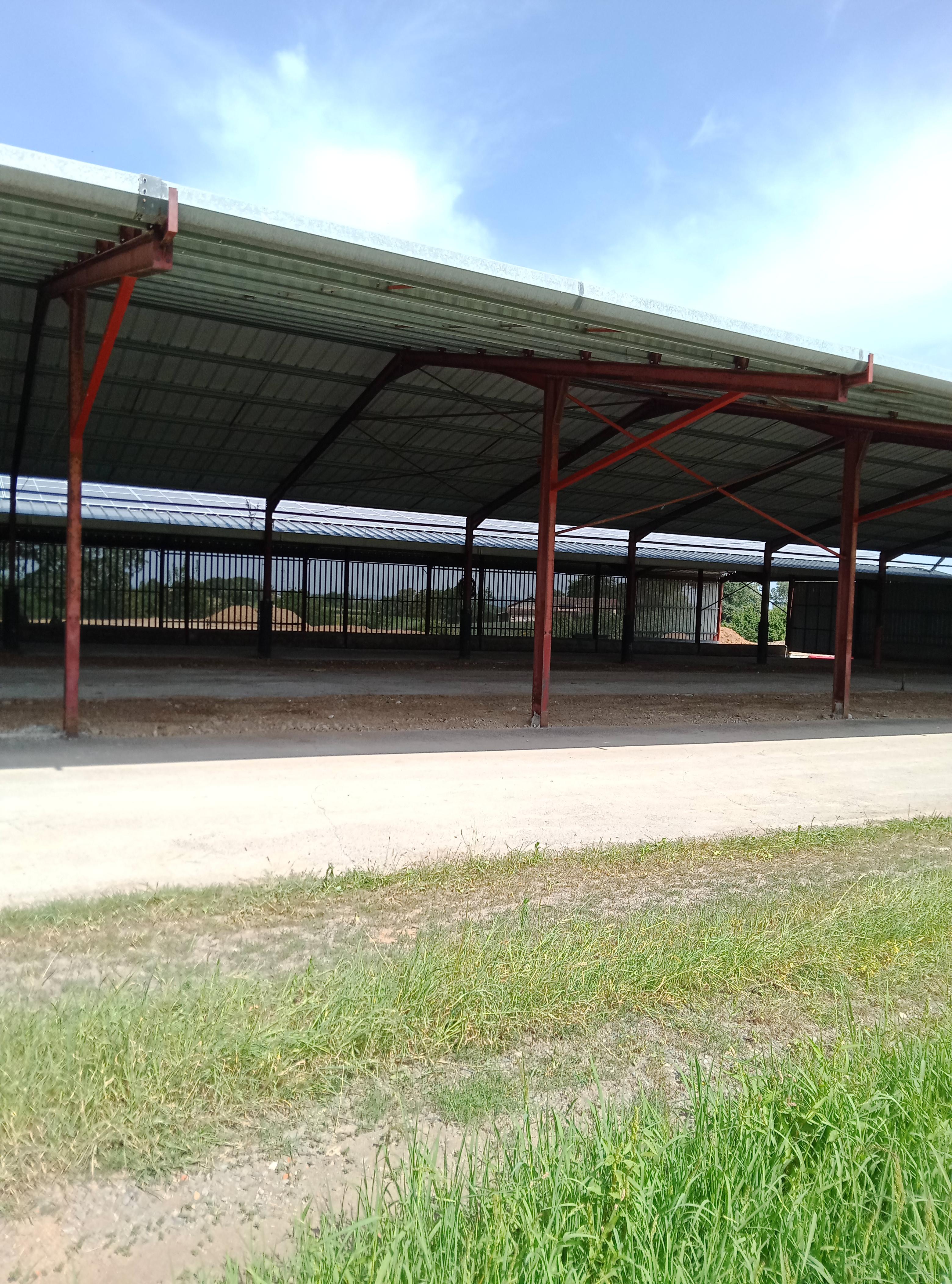 Hangar agricole 1000 m2 Cambon