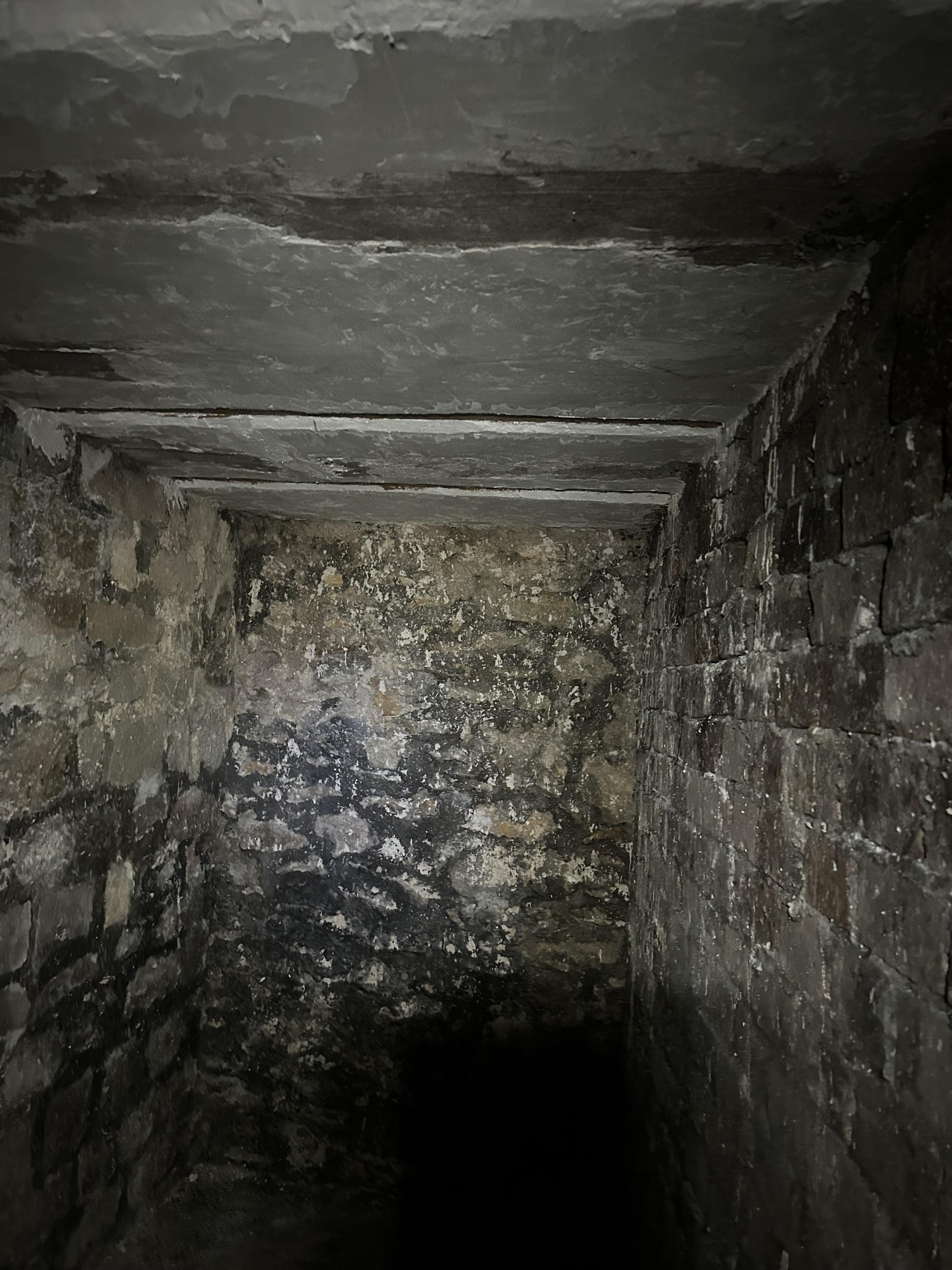 Cave - Montmartre