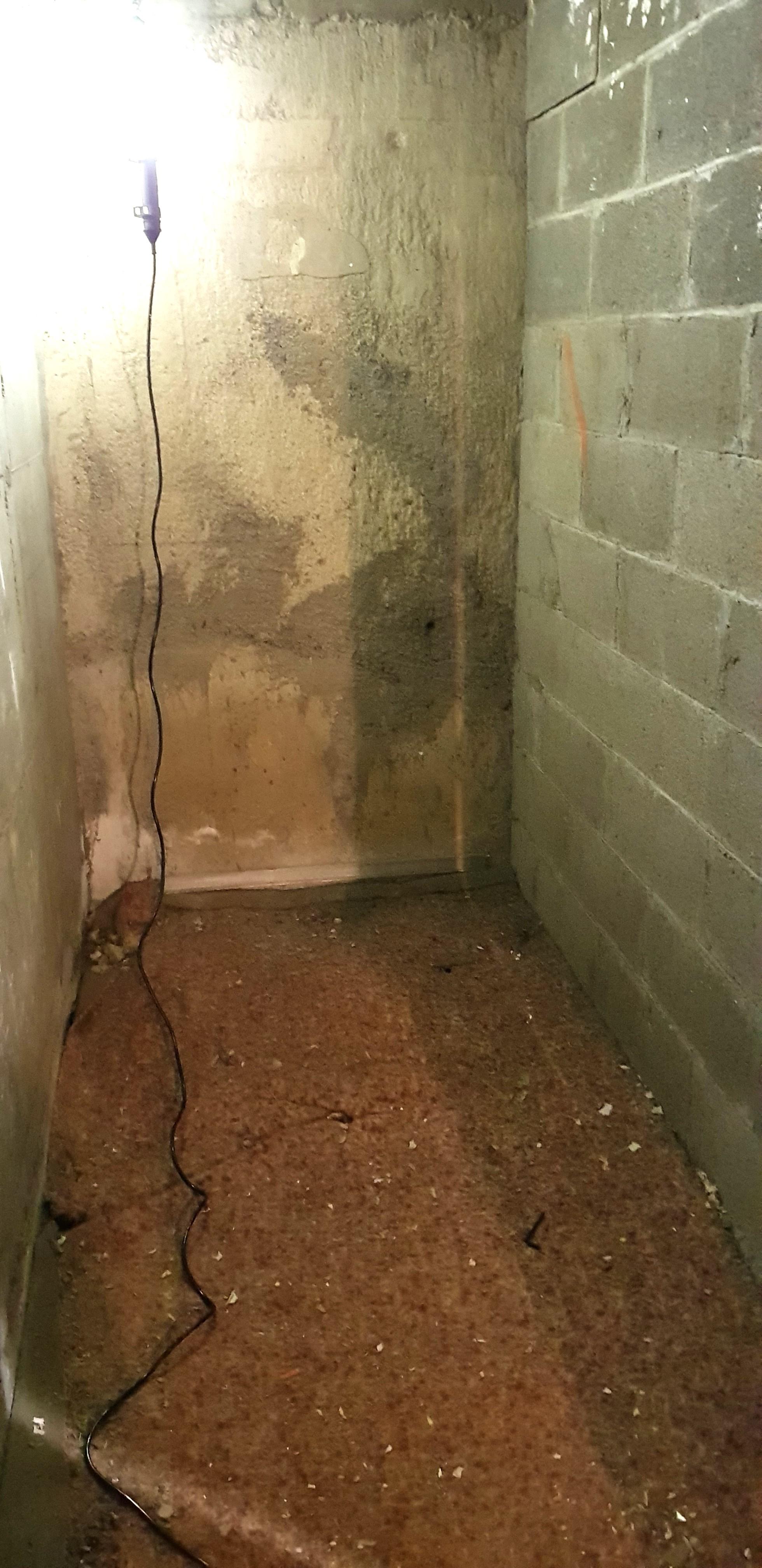 cave individuelle saine et sécurisée à Rennes