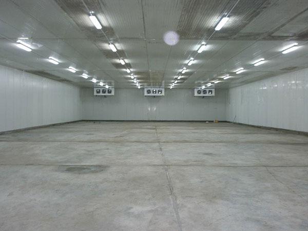 box frigo gros volumes