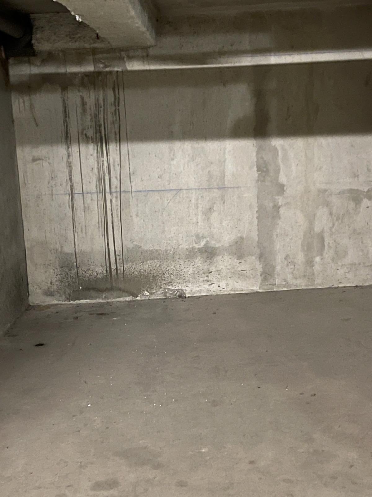 Garage/ Box - 10m² - Saulx-les-Chartreux