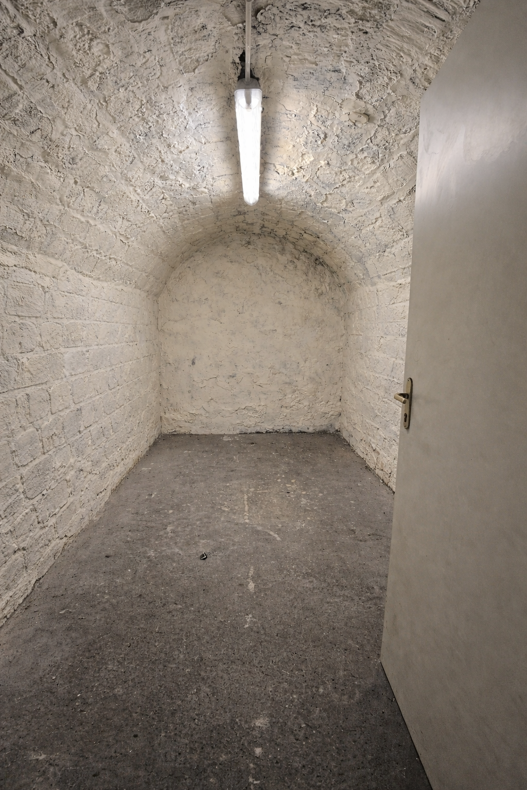 Cave saine, éclairée, sécurisée de 7 m² -