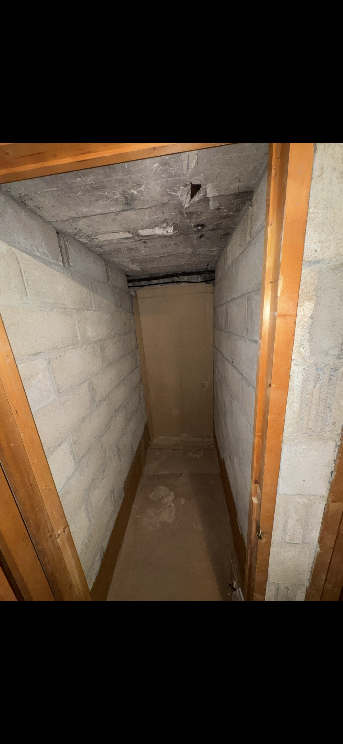 Cave n°3 - 2m² - Rue du Montparnasse