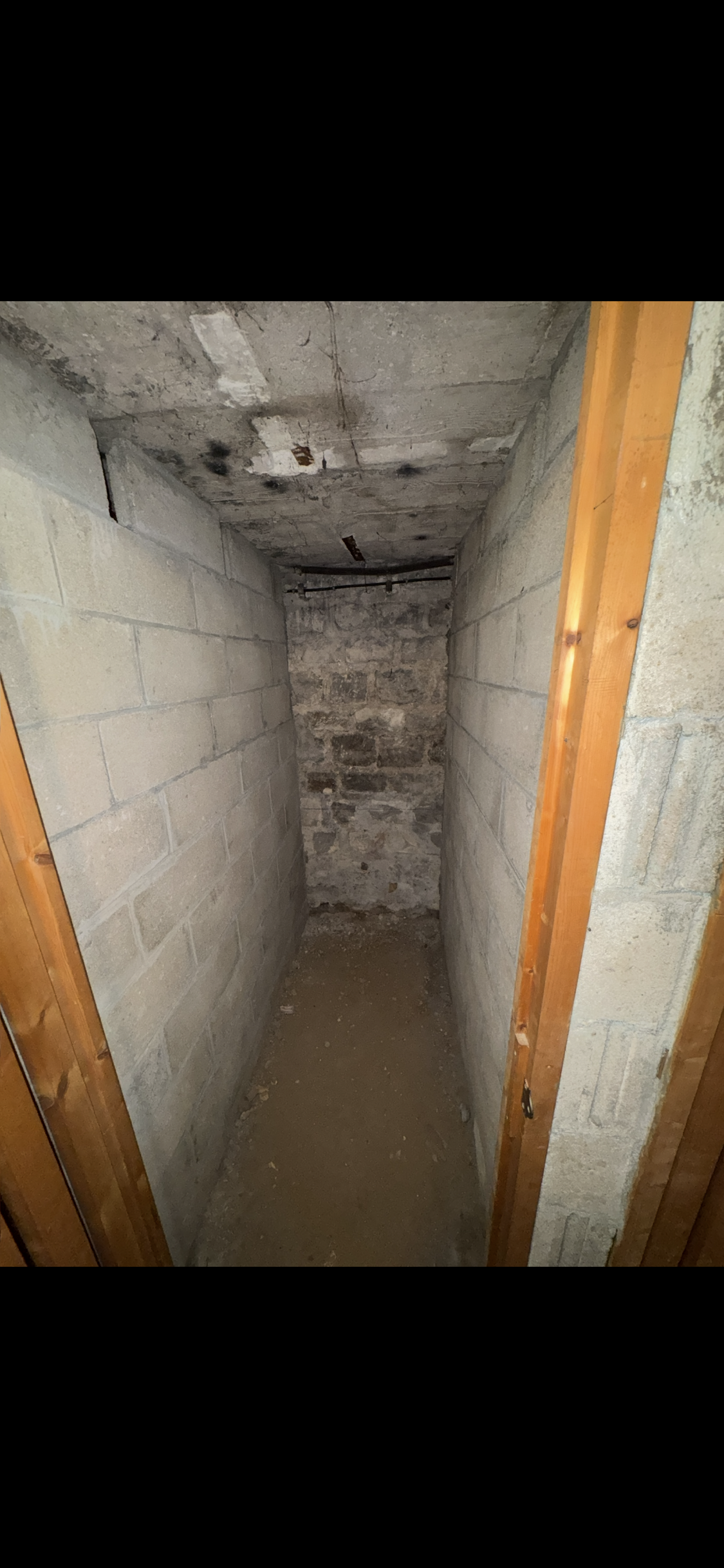 Cave n°5 - 2m² - Rue du Montparnasse