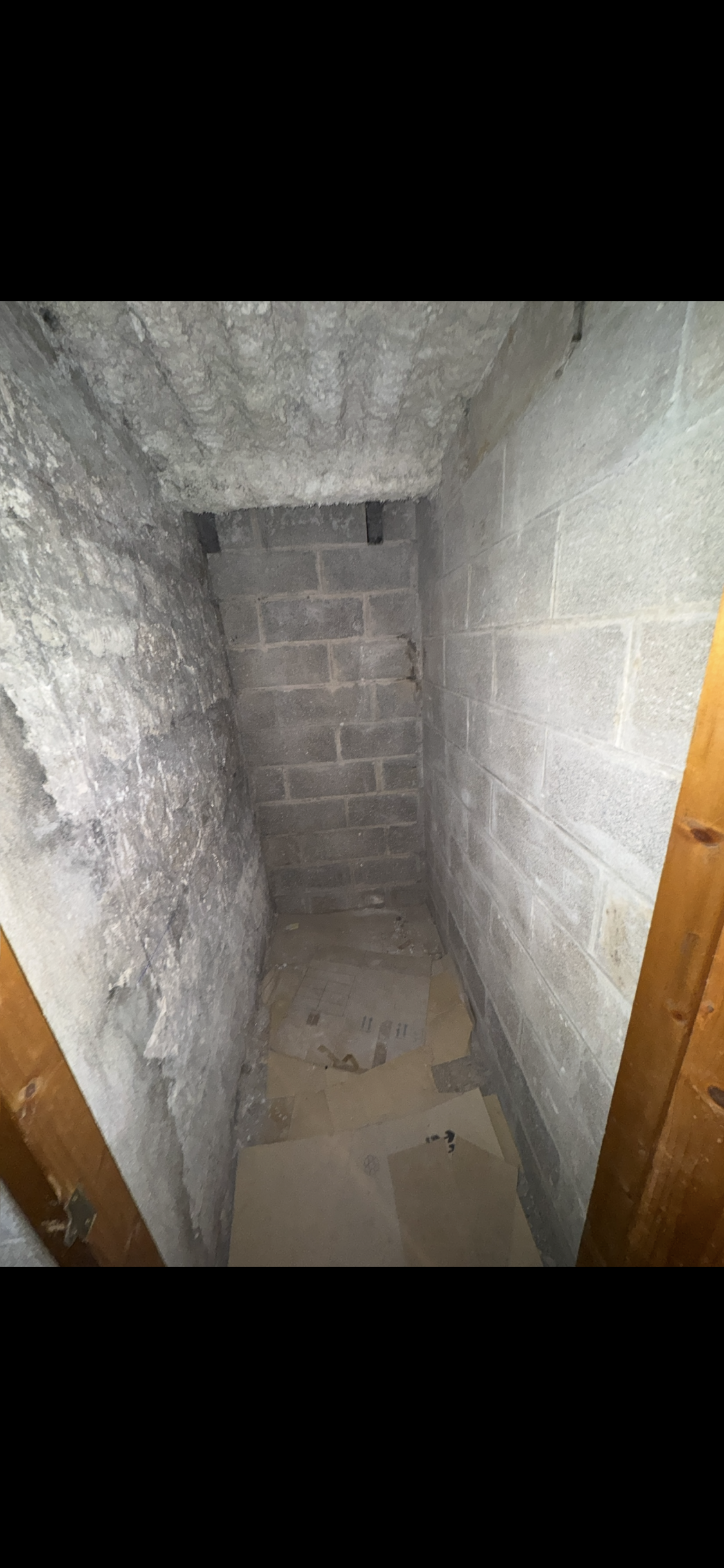 Cave n°7 - 2m² - Rue du Montparnasse