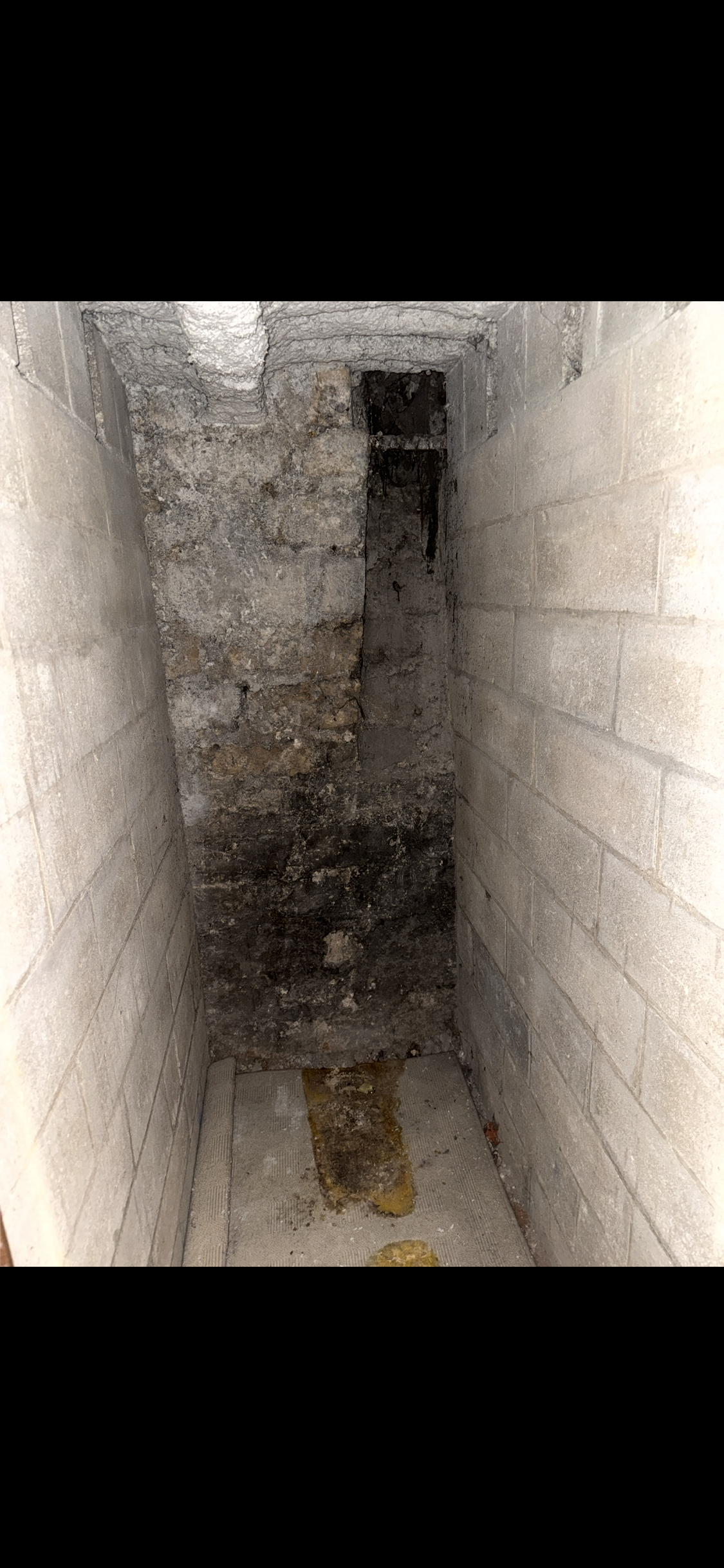 Cave n°3 - 2m² - Rue du Montparnasse