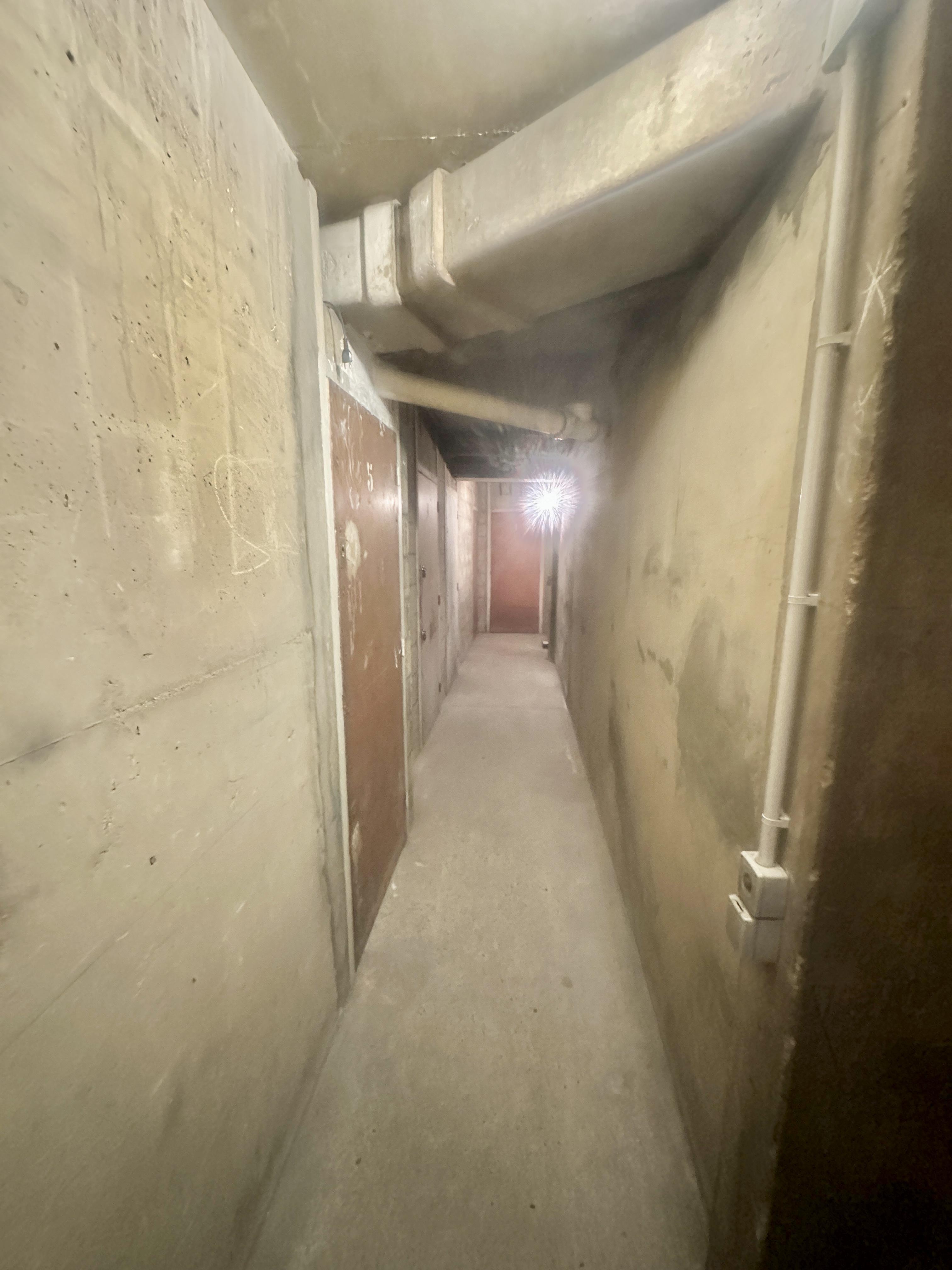 Cave de stockage saine et sécurisée proche marais