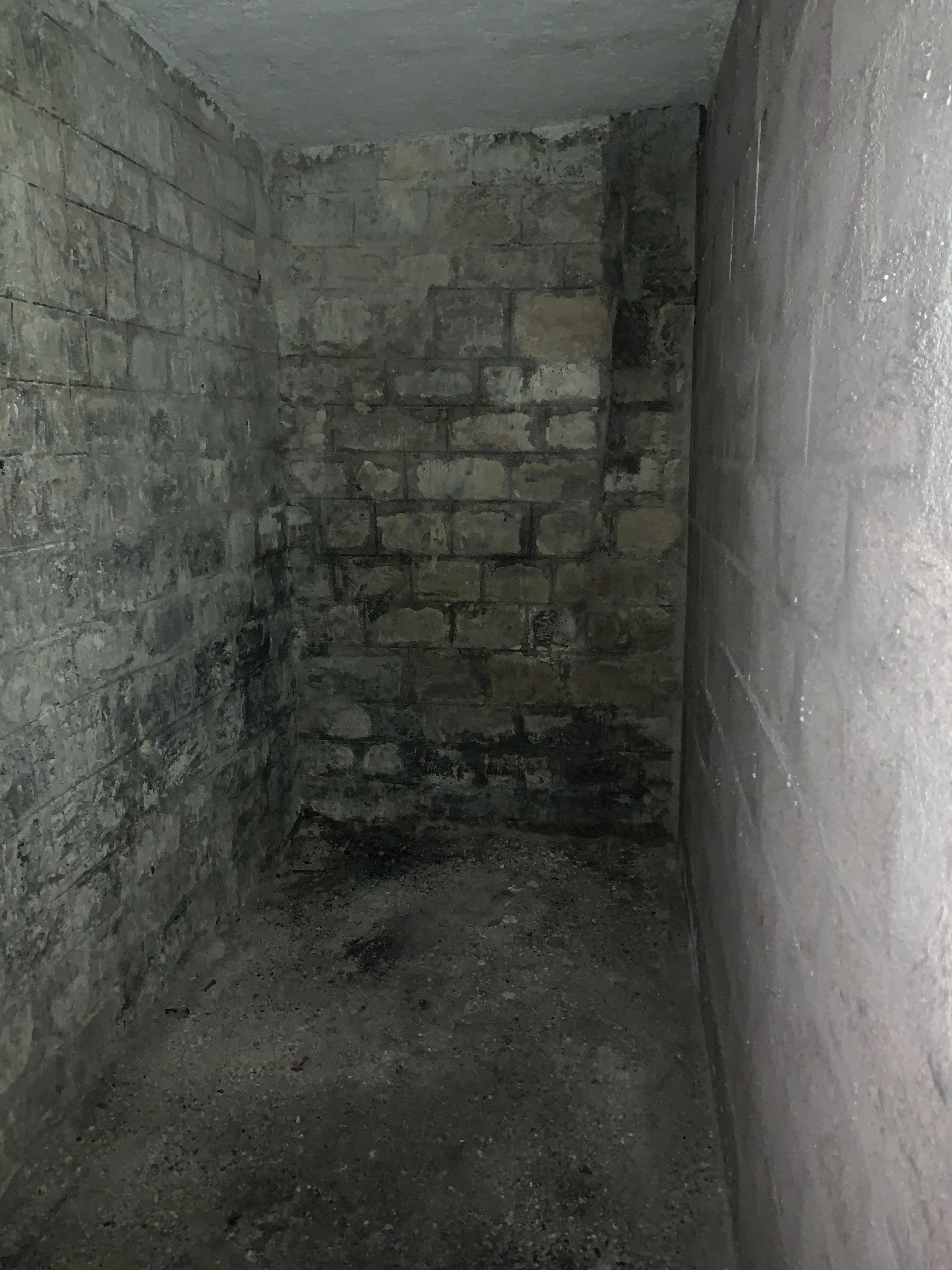 Location - Cave à Paris