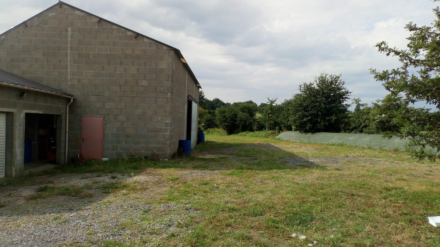 Hangar : Garde meuble / stockage